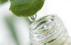 inevidenza medicina naturale